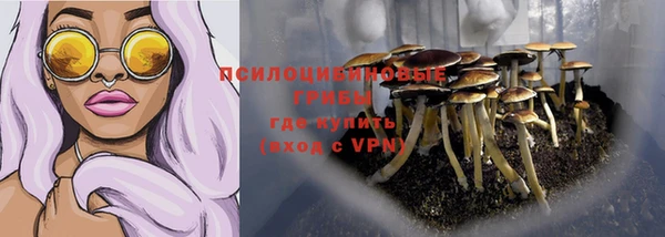 марки lsd Краснотурьинск