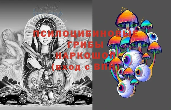 a pvp Краснослободск