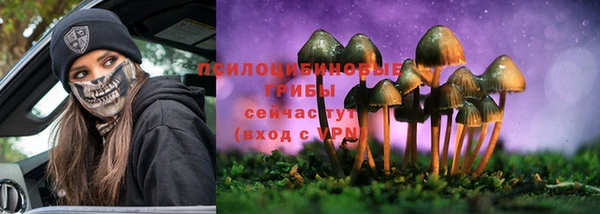a pvp Краснослободск