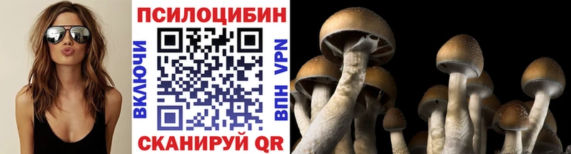 гидра зеркало  Кызыл  Галлюциногенные грибы Psilocybine cubensis 