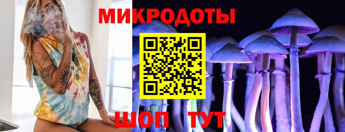 где можно купить   Галлюциногенные грибы Cubensis  Галлюциногенные грибы Psilocybe  Вход с VPN  Кызыл 
